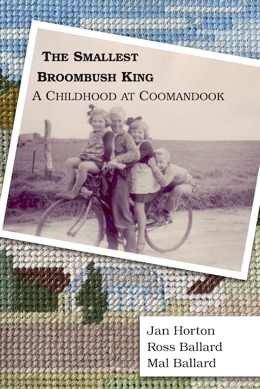 Book cover titled 'The Smallest Broombush King'